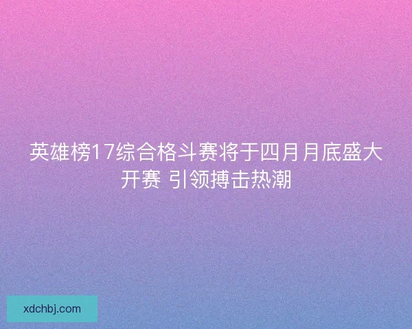 英雄榜17综合格斗赛将于四月月底盛大开赛 引领搏击热潮
